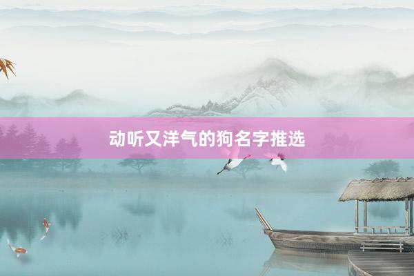 动听又洋气的狗名字推选