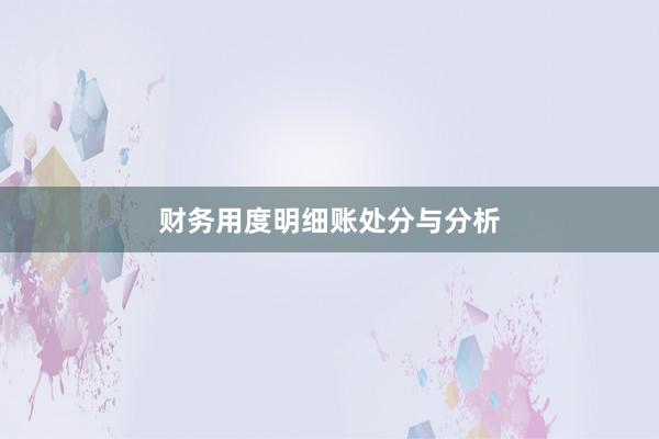 财务用度明细账处分与分析